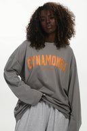 Longsleeve Cynamonka